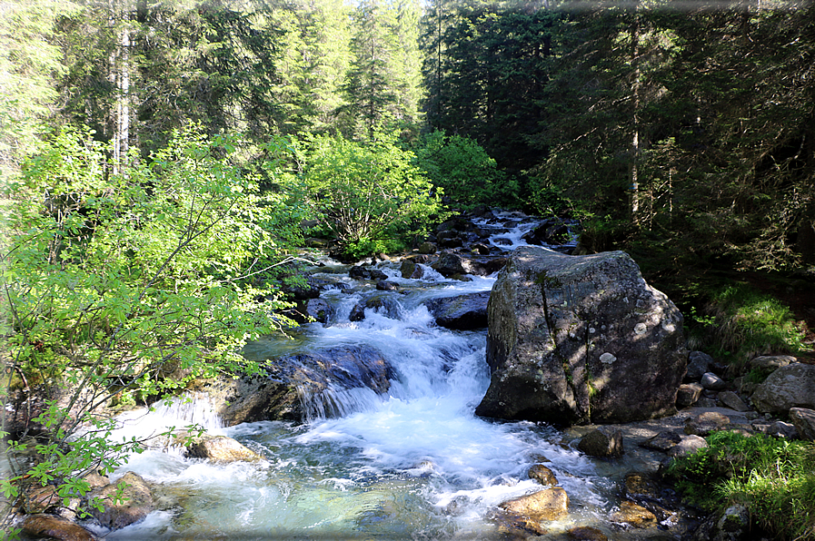 foto Rifugio Brentari